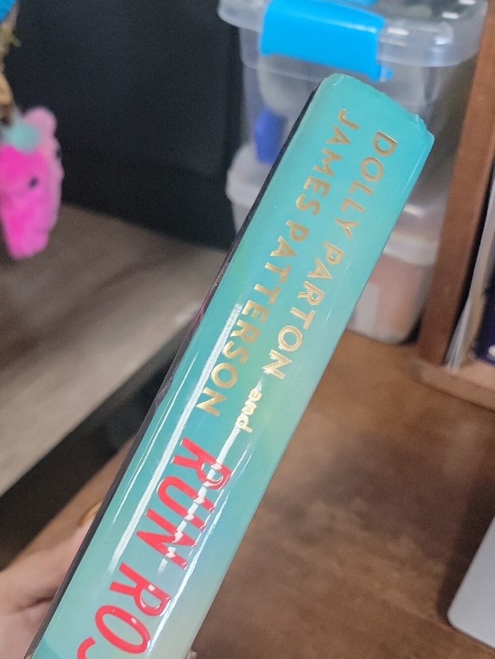 Run Rose Run Hardback - Picture 4 of 8